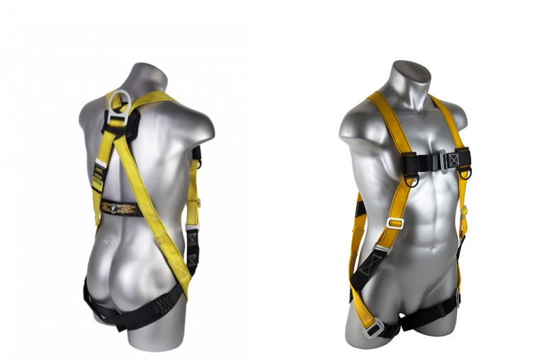 HARNESS
